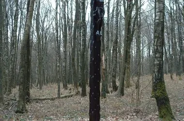 Le Monument aux Morts du Maquis des Manises et le Calvaire des Manises