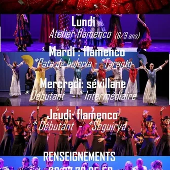 Flamenco pour tous : saison 2025