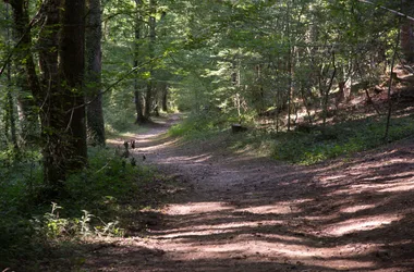 Het Sérénac-bos