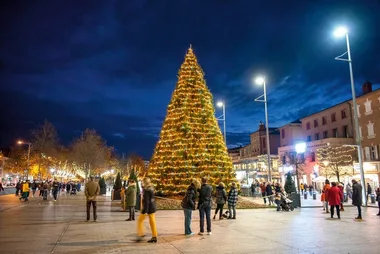 Le Sapin Géant du Vigan