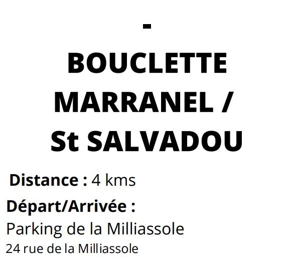 Bouclette Le marranel - Albi