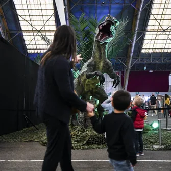 Expo – Découverte Dinosaures