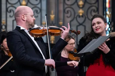 Violins from Prague to Albi 2024