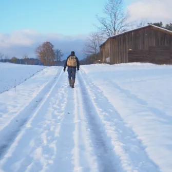 Sur le chemin des glaces