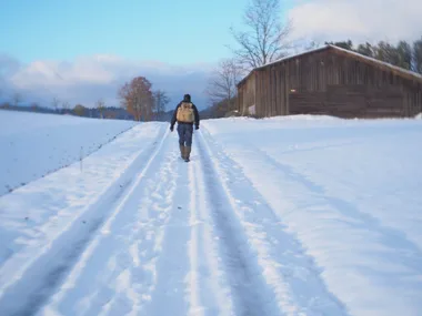 Sur le chemin des glaces