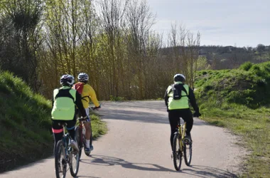 Carril verde para ciclistas