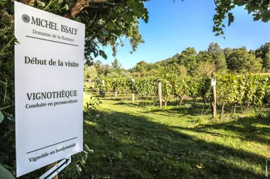 Visite et dégustation dans le Vignoble – Domaine Michel Issaly