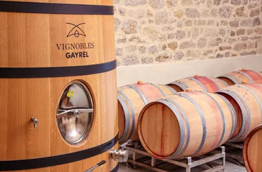 Barril de vinya Gayrel