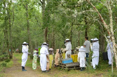 ロシュギュード公園での一日養蜂家
