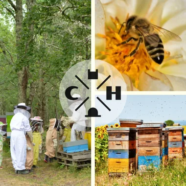 Beekeeper for a day - cécile and henri