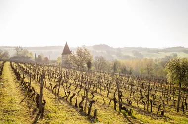 Venez à notre rencontre – Office de Tourisme de La Toscane Occitane