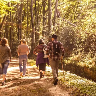 La forêt de Sérénac