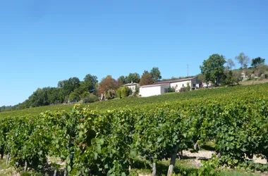 Domaine de Gayssou