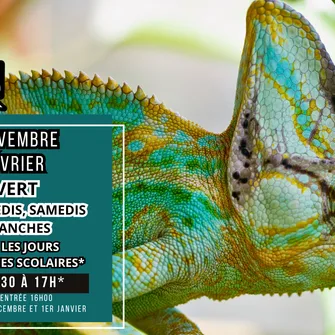 L’Hiver à L’Espace Zoologique Exoticamis