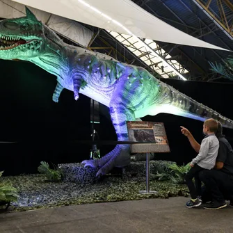 Expo – Découverte Dinosaures