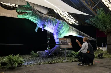 Expo – Découverte Dinosaures