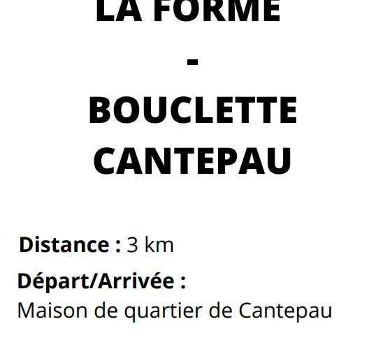 Bouclette Cantepau-Albi