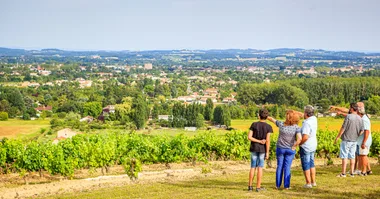 CHAI mon Vigneron au Château Balsamine