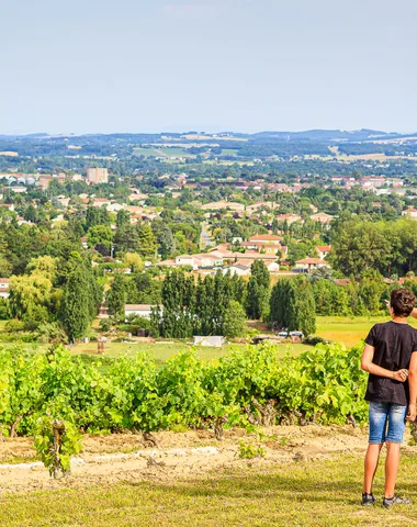 CHAI mon Vigneron au Château Balsamine