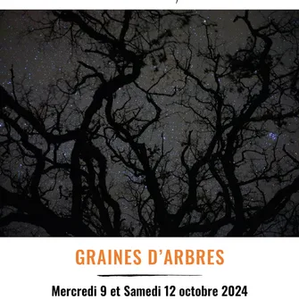 Festival Gresinhol: “Graines d’arbres “