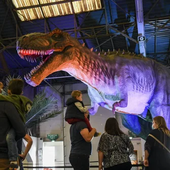 Expo – Découverte Dinosaures