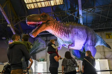 Expo – Découverte Dinosaures