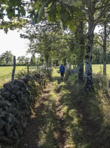 Sortie randonnée pédestre – Autour de Taussac