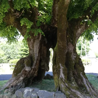 Le village templier de Nigresserre