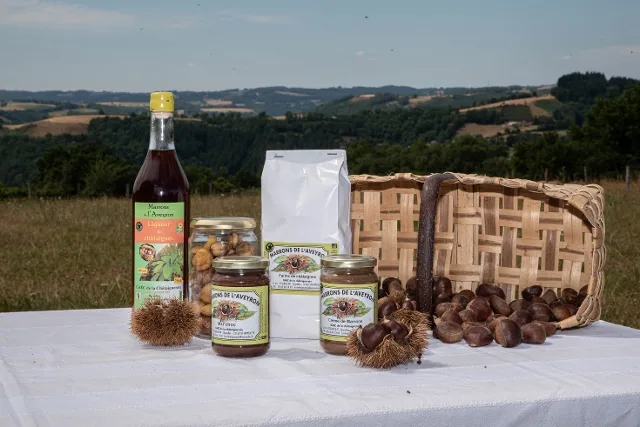 Kastanien aus dem Aveyron – Probieren Sie die Kastanie