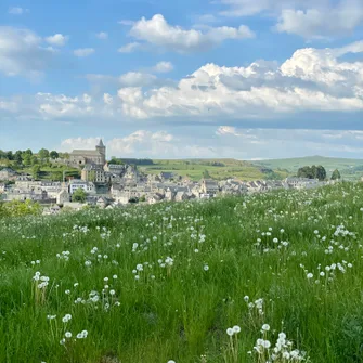 Le Puech du loup