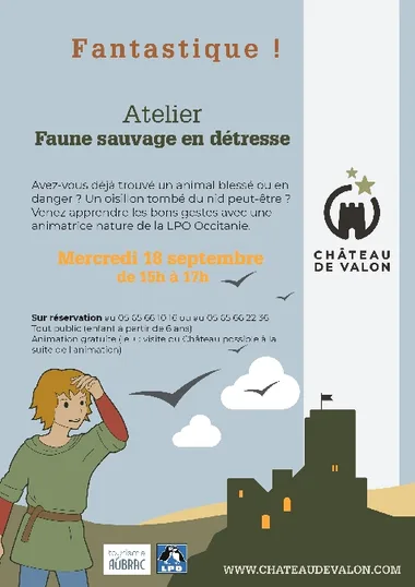 Atelier faune sauvage en détresse