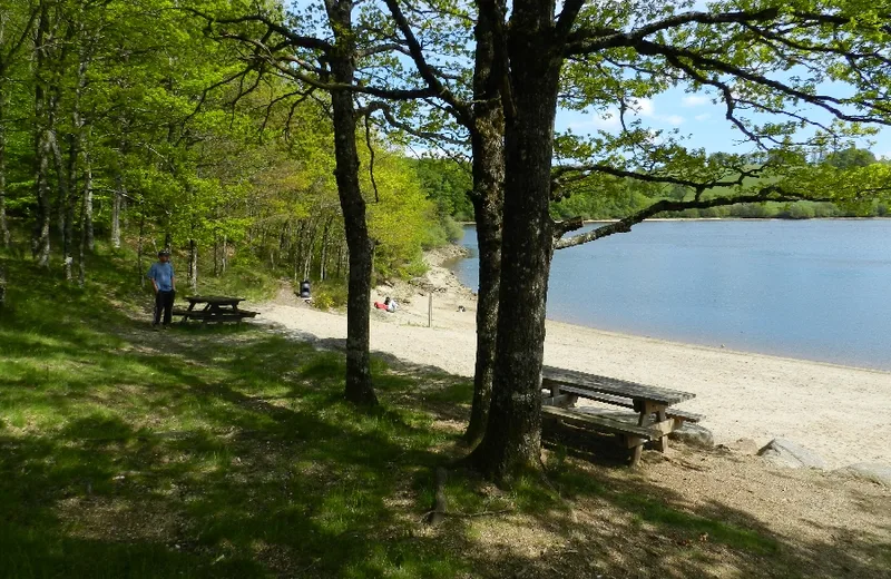 Zona de pícnic en la playa del lago Galens