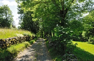 path in Laguiole photo credit André Méravilles