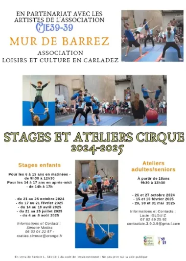 Stage de cirque adultes