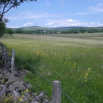 Le Puech du loup