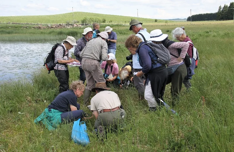 Outing with an association of botanists at Lac des Salhiens