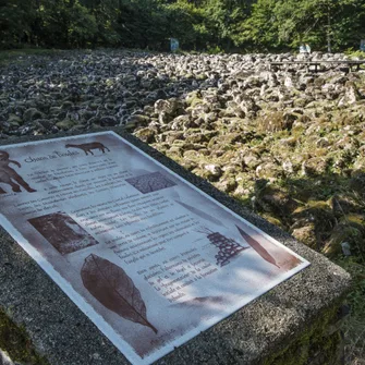 Sentier de l’imaginaire – Du Magma à la pierre ” Le parcours de la coulée de lave”