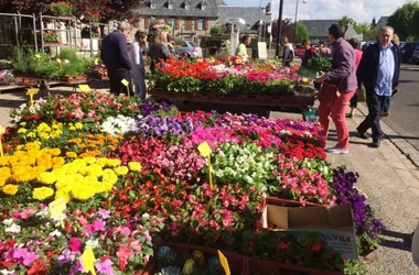 Blumen- und Pflanzenmarkt