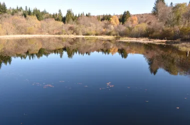 Lac de la Source (lâchers de truites)