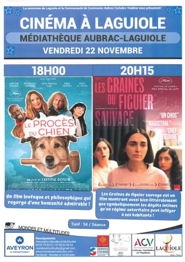 Cinéma à Laguiole