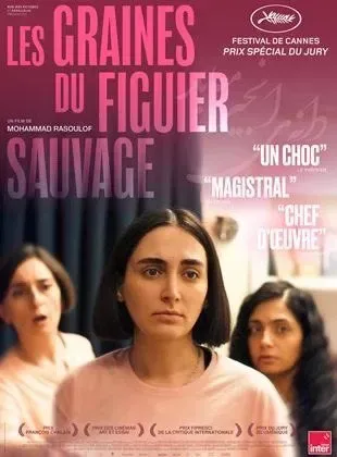 Cinéma “Les graines du figuier sauvage”