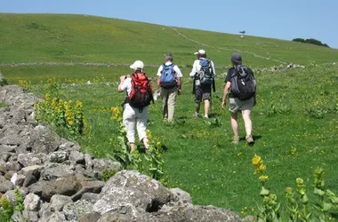 Summer/winter hikes with Monts d'Aubrac guides