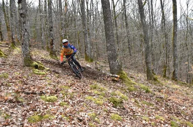 Downhill mountain bike trails