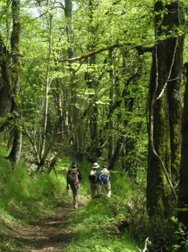 Sortie randonnée pédestre à “La croix des Lucs”