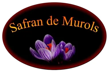 Saffron from Murols