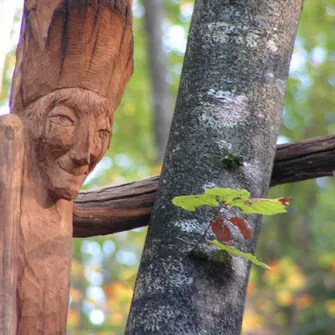 Sentiers de l’imaginaire – La Forêt magique