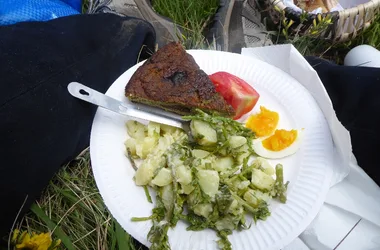 a picnic plate
