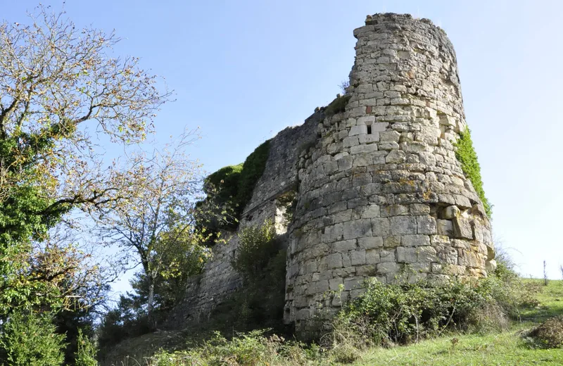 Het kasteel van Montferrand