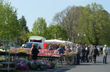 Mercado de flores y plantas.