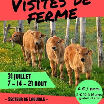 Visite de ferme à Laguiole